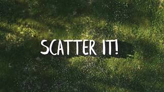 Scatter It! | Shop Asset