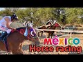 Horse racing / in Mexico