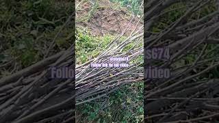 Httpsyoutubeazd7vadbujysietpvahqybpceypk