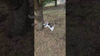 Ruby's outdoor adventure