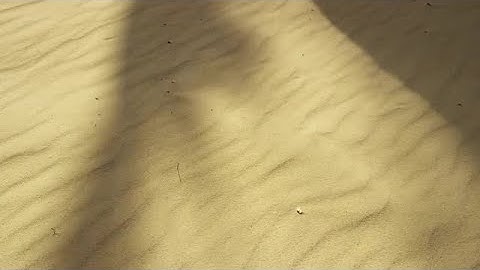 Palm Shadows On Sand Stock Video