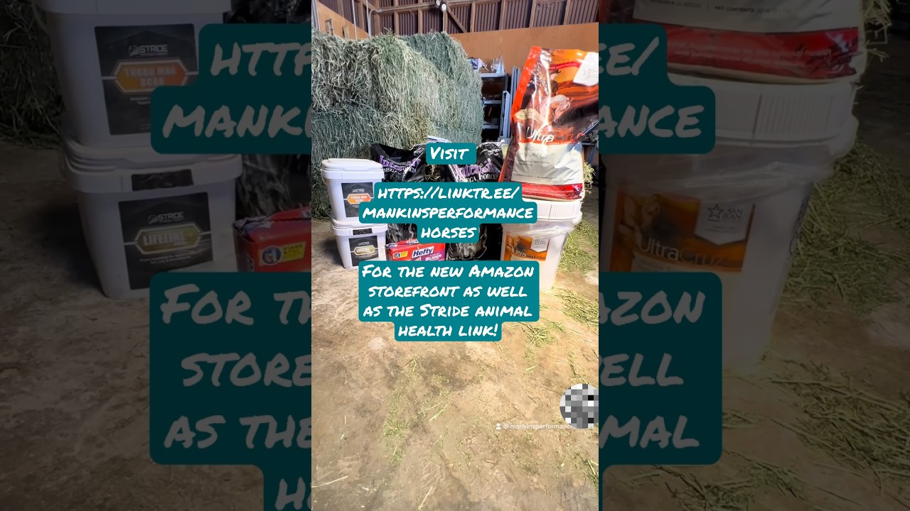 https://linktr.ee/mankinsperformancehorses