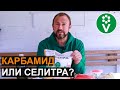 ВСЕ ОБ АЗОТНЫХ УДОБРЕНИЯХ: какое выбрать, как и когда вносить