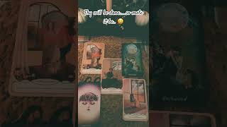 The cards said so…. #tarot #divination #tarotdeck #tarotreader #tarotcards #tarotreading