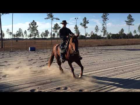 Como obter um Hot cavalo para relaxar - Parte 1