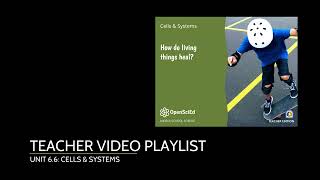 Unit 6.6 Cells & Systems Teacher Playlist