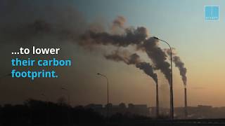 How Can IoT Help to Make Supply Chains More Sustainable