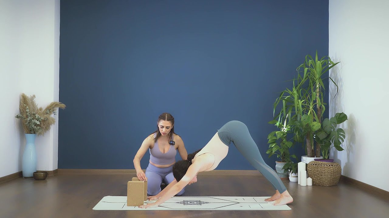 Asana Lab: Vinyasa Akışı