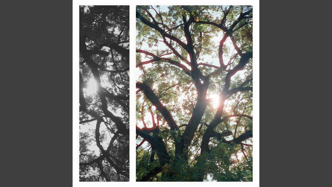 June is for Dreamers