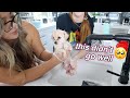 PUPPY'S FIRST BATH!! + my new fave holiday recipe!!