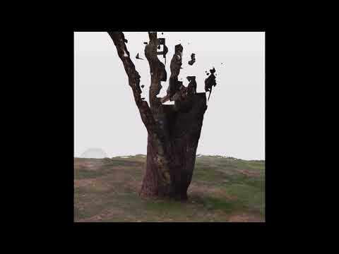 LIDAR scanning using iPad Pro 2020 and rendering in Blender EEVEE