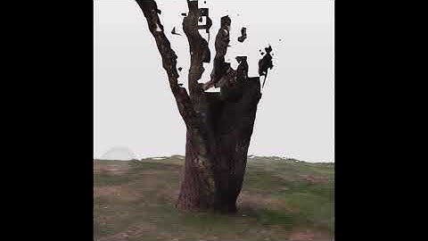 LIDAR scanning using iPad Pro 2020 and rendering in Blender EEVEE