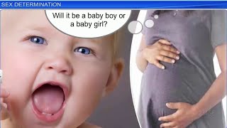 Principles of Inheritance and Variation 2 | NCERT Class 12 Biology | 3d Animated | Best for NEET