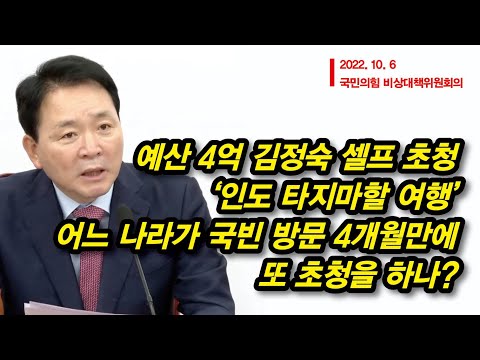 전용기 타고 간 김정숙의 <strong>타지마할</strong> 구경에 4억 원!