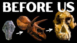 4 Billion Years of Evolution Before Humans (in 30 Minutes)
