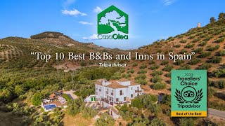 Casa Olea boutique B&B in the heart of Andalucia, Spain