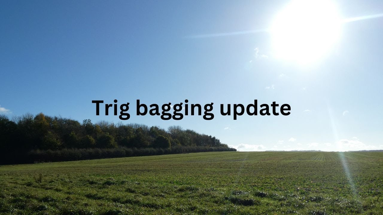 Trig bagging update