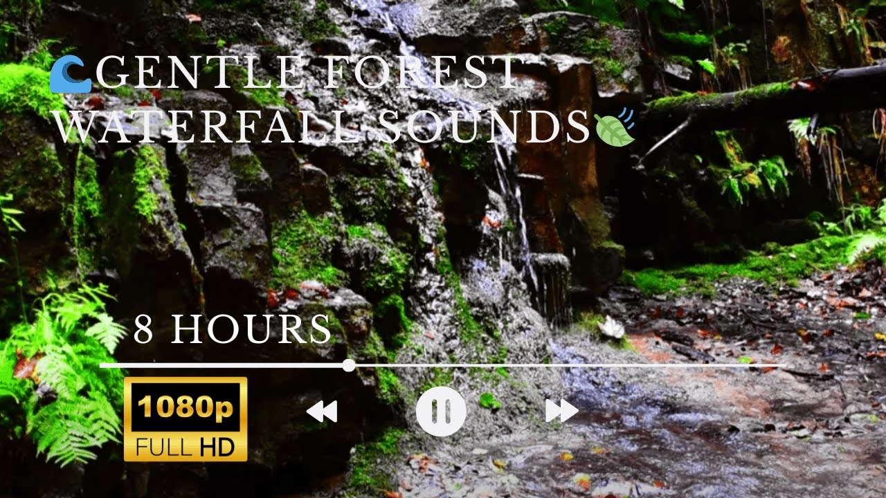 8 Hours of Gentle Forest Waterfall Sounds – Relax, Sleep & Meditation ...