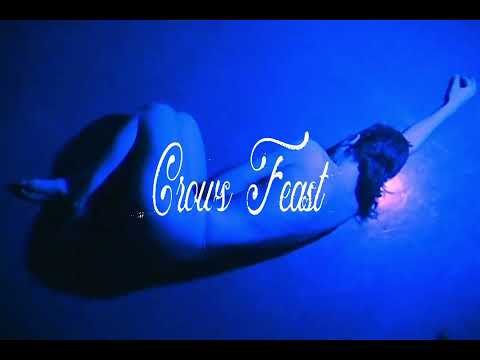 Pixel Grip - Crow's Feast (Official Lyric Video)