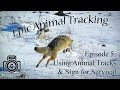 Epic Tracking Episode #5: Using Animal Track &amp; Sign Aging for Survival