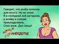 Ну что, кума дашь мне? Отличная Подборка анекдотов! Смех! Юмор! Позитив!Веселые анекдоты!