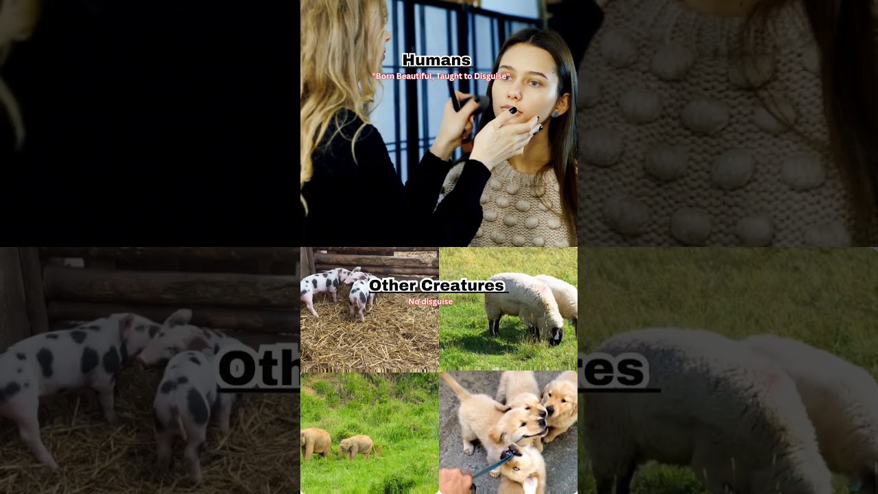 Quote: Why Do Humans Hide Their Natural Beauty?