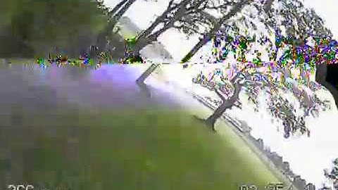 immersionrc vortex mojo 230 tree hugging