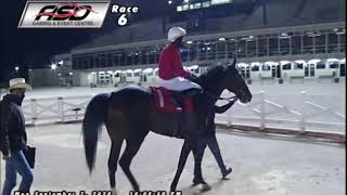 ASD - September 7, 2020 - Race 6