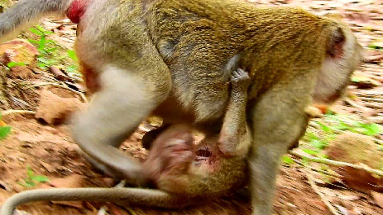 Around Convulsive !!! heart-breaking cos Janet get seriously injure on body, Baby cry for mum help