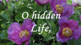 O Hidden Life