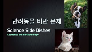 [SSD 한] 반려동물 비만 문제 / Obesity issue for pets