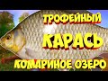 русская рыбалка 4 - Карась озеро Комариное - рр4 фарм Алексей Майоров