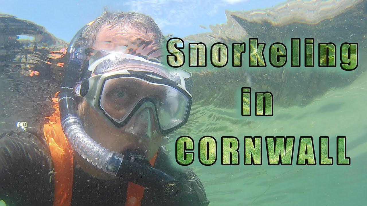 Snorkeling in Cornwall Kynance cove, St Michaels mount YouTube