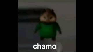 Chamoy says: Chamo  (full version)