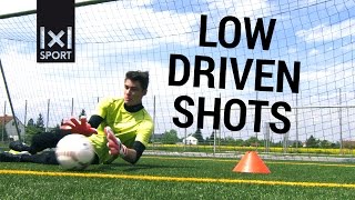 Famous Goalkeeper Training including Error Analysis: Low Driven Shots Profile