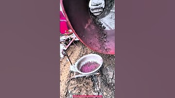 Automatic Earthworm Separator Machine for Efficient Soil and Worm Harvesting up to 500kg/H