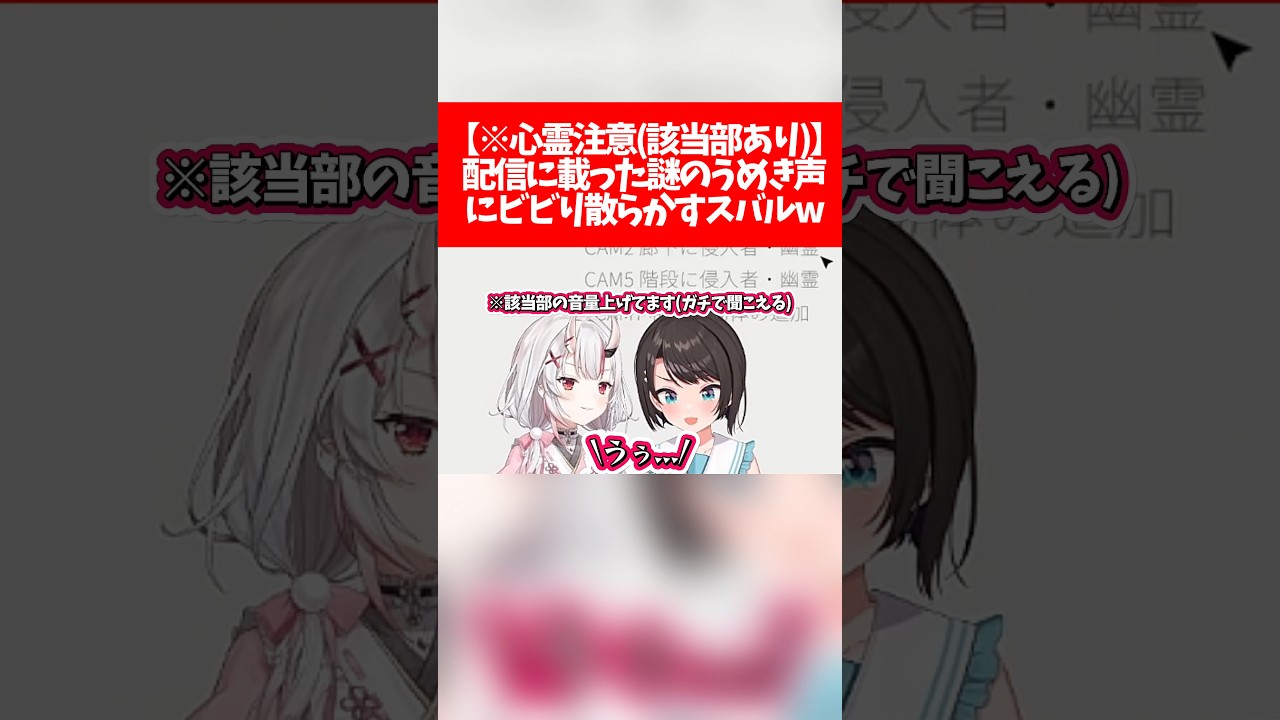 【※心霊注意(該当部あり)】配信に載った謎のうめき声にビビり散らかすスバルw【ホロライブ切り抜き/大空スバル/百鬼あやめ】