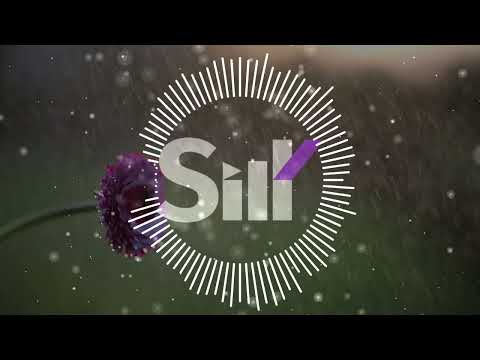 Veranze - because of you