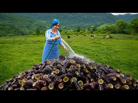 How to Dry Eggplants Under the Sun? 🍆 Family Cooking Vlog