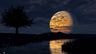 Soft Piano Music - Soft Melody Music, Lullaby Music, Stress Relief screenshot 5