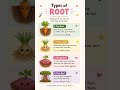 #ncert #biologyshorts #plants #nature shorts for school students ✨🧠