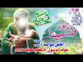 جديد اجمل مواليد ميلاد الرسول الاعظم محمد      نبينا الدنيا ضواها  انولد طه نبينا  علي حميد الموسوي  سمعها