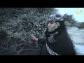 ترويج برنامج موطني مع محمد المحمدي ترويج برنامج موطني مع محمد المحمدي
