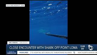 Close encounter with great white shark off Point Loma