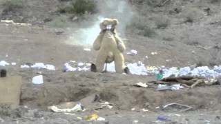tannerite tedy