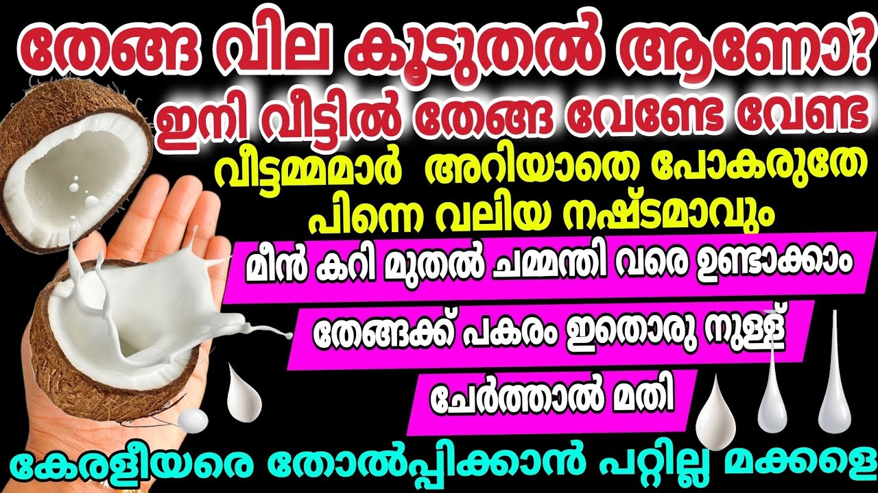 ഇനി വീട്ടിൽ തേങ്ങ വേണ്ടേ വേണ്ട | അതിനുപകരം ഇതൊരു നുള്ള് മതി| കേരളീയരെ തോൽപ്പിക്കാൻ പറ്റില്ല മക്കളെ