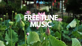 Infinity - LEMMiNO || FREE COPYRIGHT MUSIC