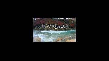 تلاوة خاشعة بمحاكاة اللحيدان للقارئ عبدالرحمن ناجي لسورة البقرة #عبدالرحمن_ناجي#محمد_اللحيدان