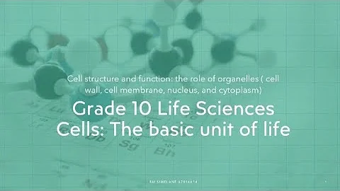 Grade 10 Life Sciences- Cell: The basic unit of life.