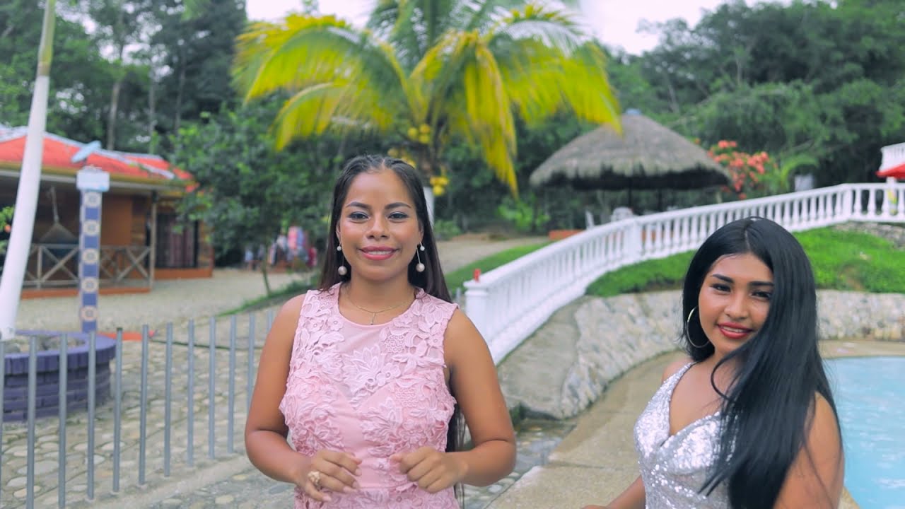 Dos Cervezas - Guacamayos Son Tropical